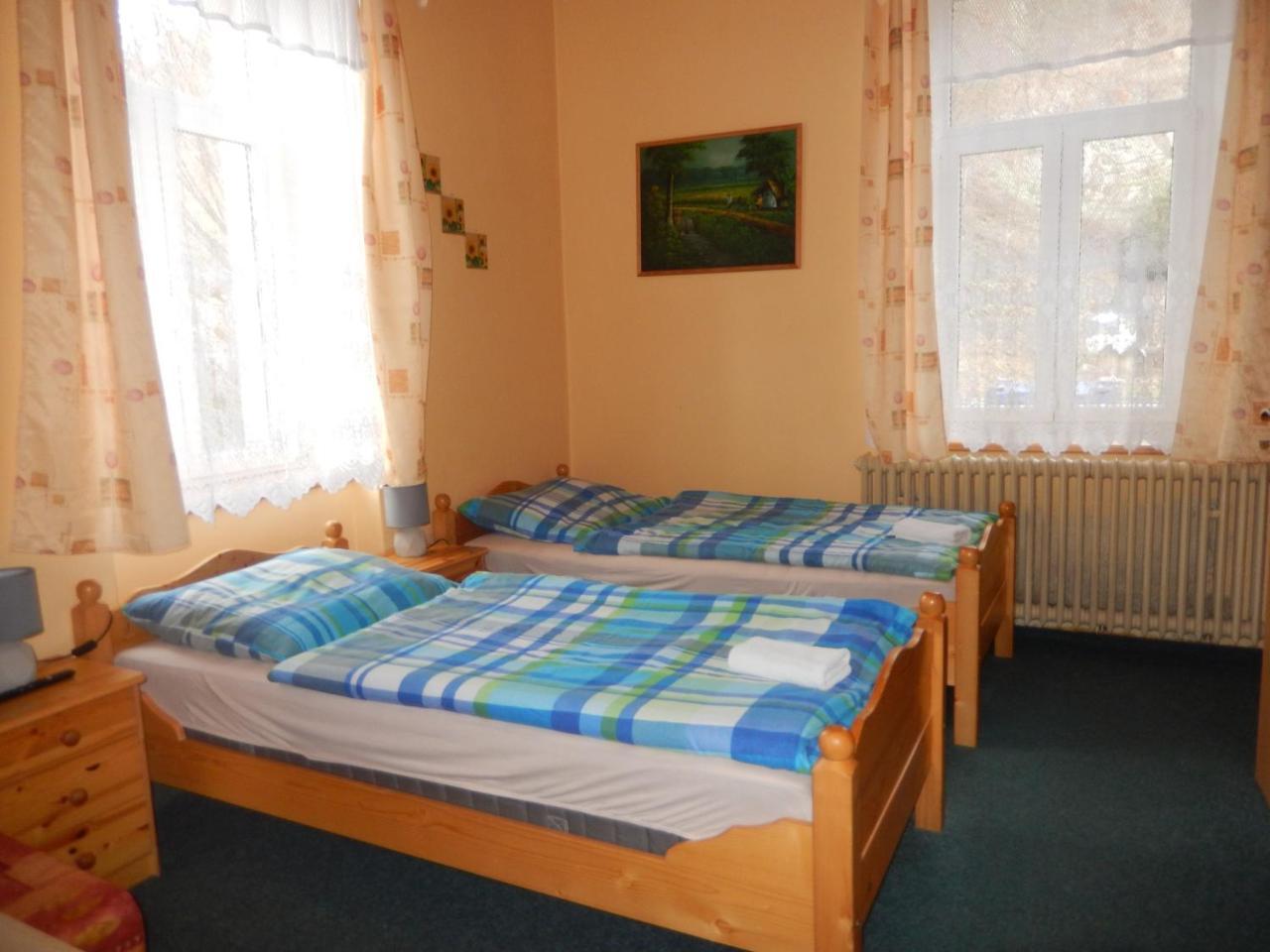 Penzion Manetin U Sv. Barbory Otel Dış mekan fotoğraf